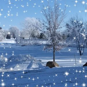 Meet your Posher, Rosa